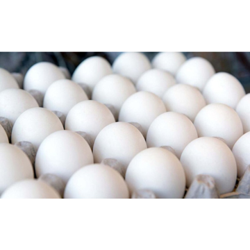 تخم مرغ فله شناطیران(10 عددی)