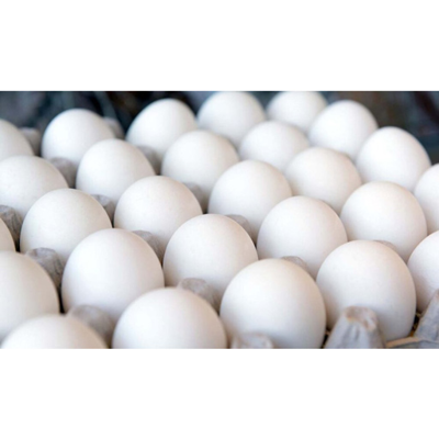 تخم مرغ فله شناطیران(10 عددی)